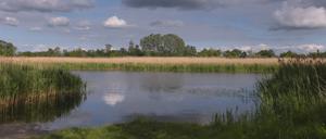 Unsichtbare Belastung: Die Salzkonzentration in der Oder ist weiterhin bedenklich hoch.