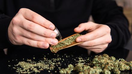 Close up of addict lighting up marijuana joint with lighter. Man preparing and rolling marijuana cannabis joint. Man rolling a marijuana weed blunt.