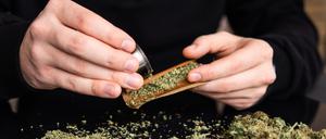 Close up of addict lighting up marijuana joint with lighter. Man preparing and rolling marijuana cannabis joint. Man rolling a marijuana weed blunt.