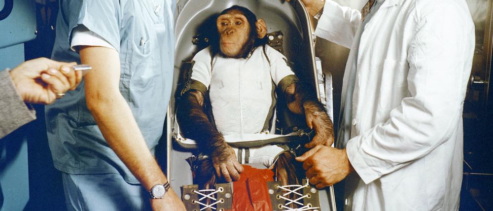 Ham, der da noch Chop Chop Chang hieß, bei der Vorbereitung.