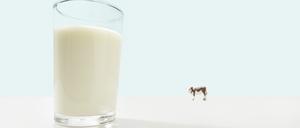 Hat die Kuh ausgedient? Die „Milch der Zukunft“ kommt aus dem stählernen Bioreaktor statt aus dem Euter.