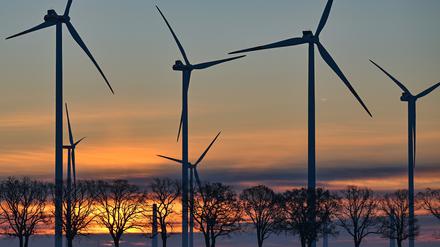 Sonnenaufgang hinter dem Windenergiepark «Odervorland». 