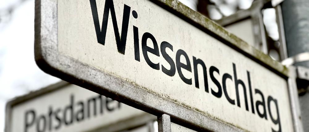 Zwischen Potsdamer Chaussee, Mutter-Mochow-Weg und Wiesenschlag will die Degewo 180 Mietwohnungen bauen.