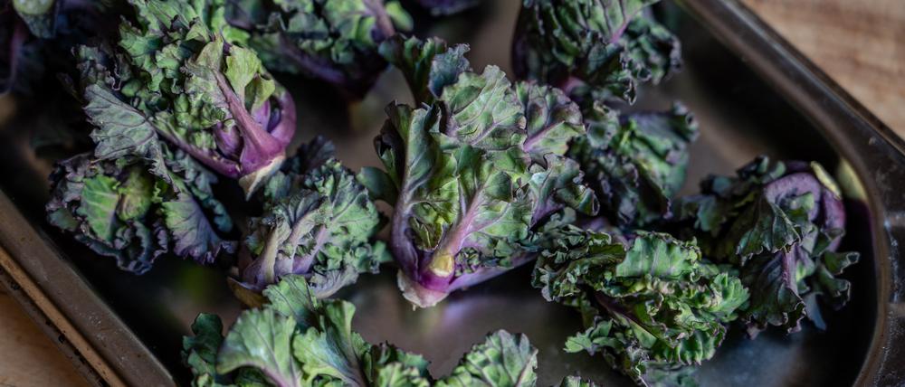 Flower Sprouts im Marktlokal in Kreuzberg.