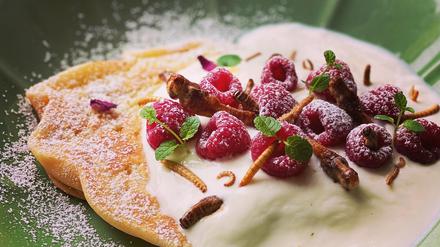 Lecker? Zumindest reich an Proteinen. Ein Dessert, angereichert mit Insekten.