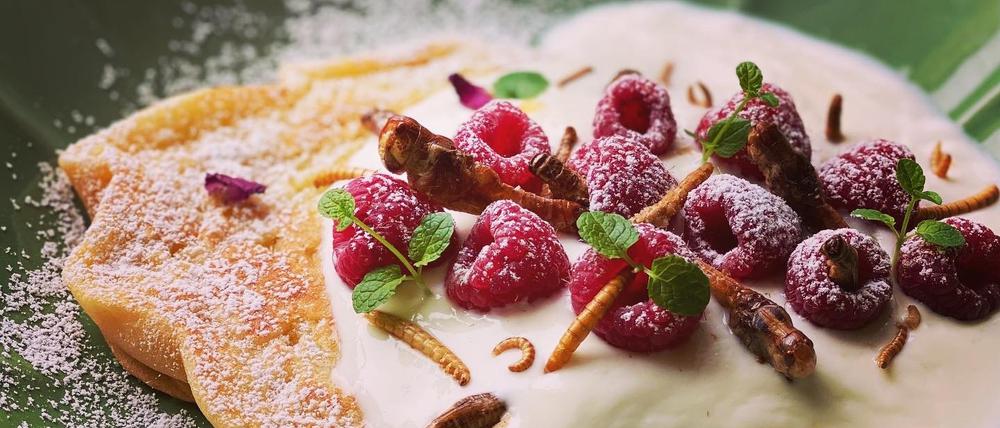 Lecker? Zumindest reich an Proteinen. Ein Dessert, angereichert mit Insekten.