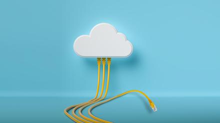 Wie digital sind Berlins Betriebe? Warum Daten den Geschäftserfolg verbessern können.