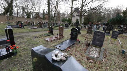 Blick über den Jüdischen Friedhof am Pfingstberg.