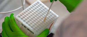 Eine Mitarbeiterin im DKMS Life Science Lab in Dresden arbeitet an der Einsortierung vpn medizinischen Proben.