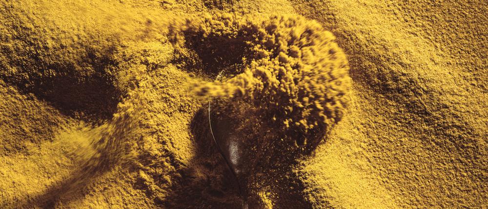 Das Proteinpulver soll künftig als Grundlage für den Ersatz von Fleisch und anderen Lebensmitteln dienen.