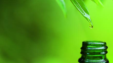 Naturheilkunde umfasst mehr als Homöopathie und Heilpflanzen. Und ihre Effekte sind messbar.