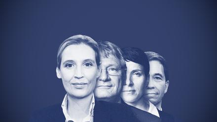 Die Häutungen einer Partei. Vorsitzende Alice Weidel, Jörg Meuthen, Frauke Perty und Gründer Bernd Lucke (v.l.).