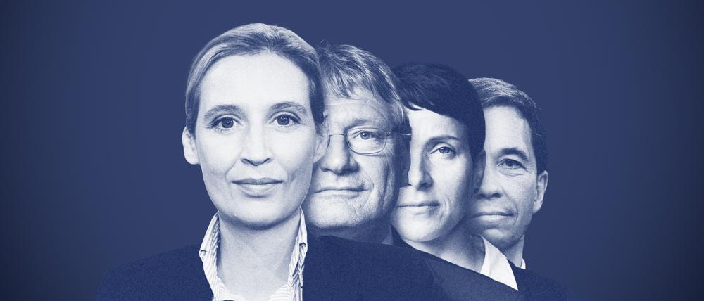 Die Häutungen einer Partei. Vorsitzende Alice Weidel, Jörg Meuthen, Frauke Perty und Gründer Bernd Lucke (v.l.).
