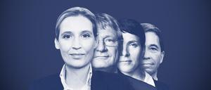 Die Häutungen einer Partei. Vorsitzende Alice Weidel, Jörg Meuthen, Frauke Perty und Gründer Bernd Lucke (v.l.).