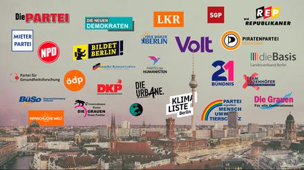 27 Kleinparteien treten bei der Wiederholungswahl am 12. Februar an. 