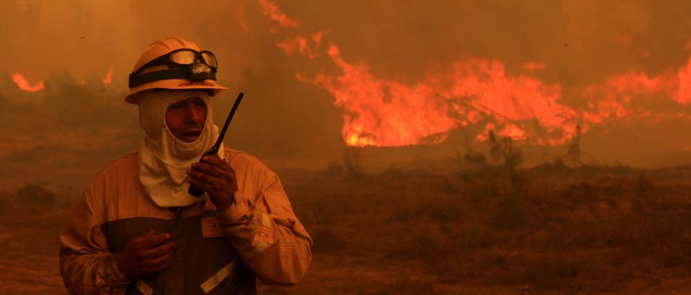 Ein Feuerwehrmann steht vor den lodernden Flammen des brennenden Waldes in Empedrado.