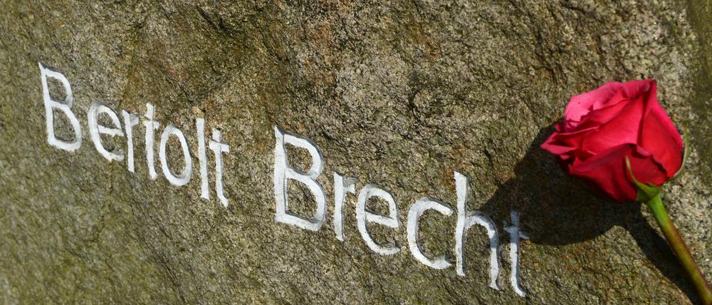 Eine rote Rose am Grabmal von Bertolt Brecht und Helene Weigel-Brecht auf dem Dorotheenstädtischen Friedhof in Berlin.