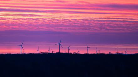 Vier bis fünf Windräder täglich sollen laut Kanzler Scholz errichtet werden.