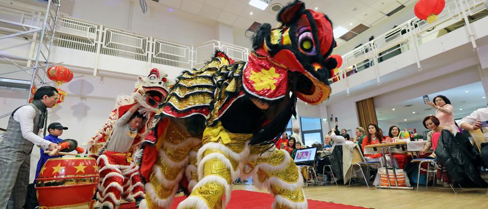 Die vietnamesische Gemeinschaft in Potsdam feierte am Sonntag ihr Neujahrsfest im Bürgerhaus am Schlaatz. Löwentänze symbolisieren das Einfangen des Glücks für die Menschen.