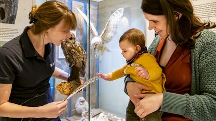 Im Naturkundemuseum Potsdam.