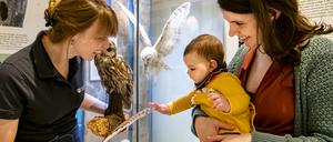 Im Naturkundemuseum Potsdam.