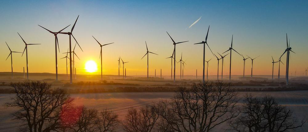 Brandenburg, Jacobsdorf: Sonnenaufgang über dem Windenergiepark „Odervorland“.