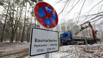 Baumfällungen Am Kahleberg im Wohngebiet "Waldstadt" Potsdam.