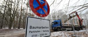 Baumfällungen Am Kahleberg im Wohngebiet "Waldstadt" Potsdam.