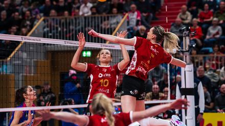 Keine hohe Hürde zum Abschluss. Das Team aus Belgrad sollten die Brandenburgerinnen schlagen können.