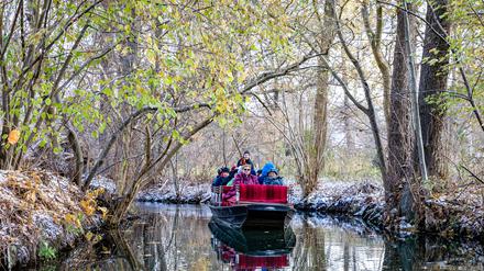 Die Bürgerinitiative „Spreewald statt Wildnis“ befürchtet, dass der Tourismus leidet. 