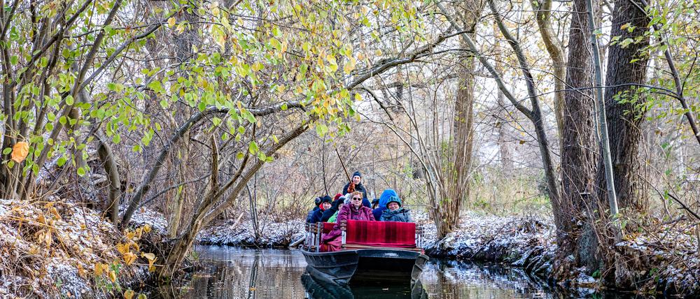 Die Bürgerinitiative „Spreewald statt Wildnis“ befürchtet, dass der Tourismus leidet.