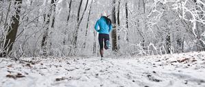 Keine Tiere oder andere Menschen weit und breit, nur das Knarzen der Laufschuhe. 