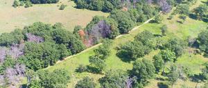 Das lange nicht mehr bewirtschaftete Feld oben links unterscheidete sich deutlich von verbliebener ursprünglicher Grassteppe (unten rechts) in Cedar Creek, Minnesota (USA).