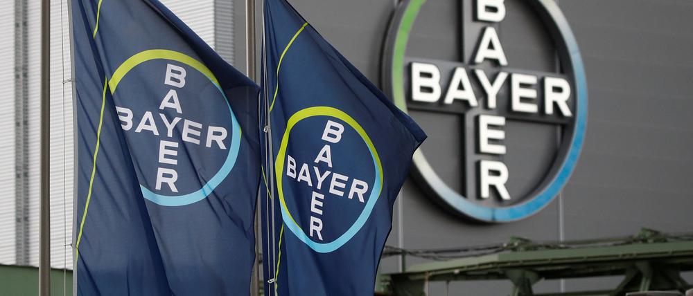 FILE PHOTO: Logo and flags of Bayer AG are pictured outside a plant of the German pharmaceutical and chemical maker in Wuppertal, Germany August 9, 2019. REUTERS/Wolfgang Rattay/File Photo