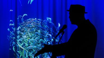 2. Ausstellung Nach der Natur im Humboldt-Lab im Berliner Humboldt-Forum. Slam-Poet Bas Böttcher vorm interaktiven Fischschwarm © Humboldt-Universität zu Berlin / schnellebuntebilder / Foto: Nadine Zilliges