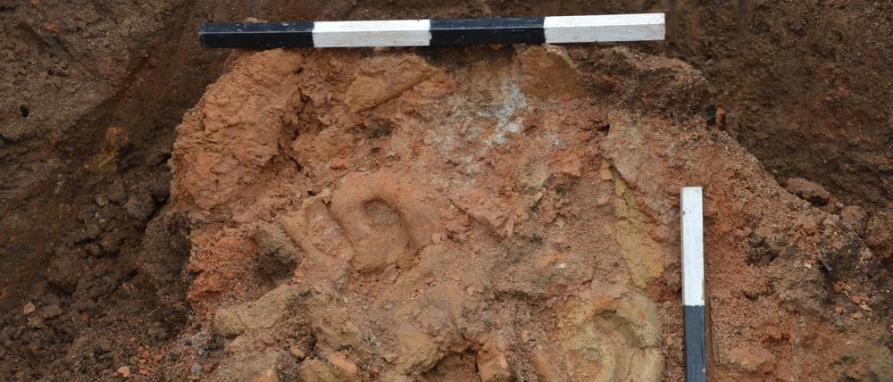 Die ungebrannten Lehmschnecken, die Bernhard Heeb in Rumänien entdeckte, erwiesen sich als Hausornamente der Spätbronzezeit.