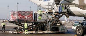 09.02.2023, Brandenburg, Schönefeld: Am Flughafen BER laden Flughafenmitarbeiter Paletten mit Hilfsgütern für die Türkei in ein Flugzeug der türkischen Fluggesellschaft Türkish Airlines. Foto: Carsten Koall/dpa +++ dpa-Bildfunk +++