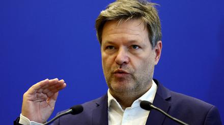 Bundeswirtschaftsminister Robert Habeck