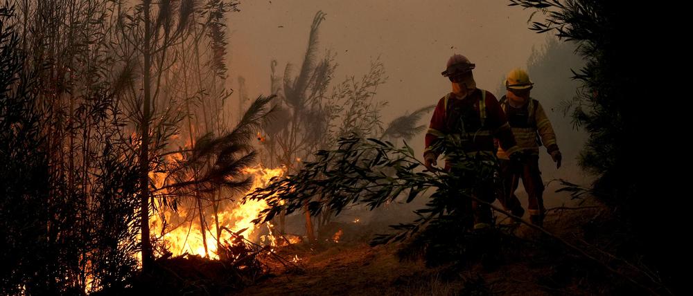 04.02.2023, Chile, Puren: Feuerwehrleute bekämpfen die Flammen von Waldbränden in der Nähe von Puren. In Süd- und Zentralchile breiten sich Waldbrände aus, die in einigen Regionen Evakuierungen und die Ausrufung des Notstands zur Folge haben. Foto: Matias Delacroix/AP/dpa +++ dpa-Bildfunk +++