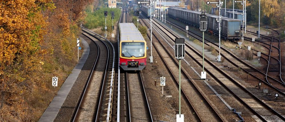Ein S-Bahnzug auf der Linie S1 kurz vor Einfahrt in den Bahnhof Lichterfelde-West.