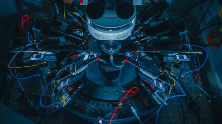 Forschungsmikroskop in den Neurowissenschaften beim Berliner Exzellenzcluster NeuroCure.