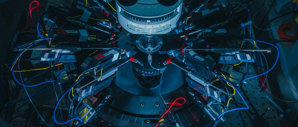 Forschungsmikroskop in den Neurowissenschaften beim Berliner Exzellenzcluster NeuroCure.