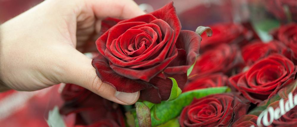 Rosen stehen auch am Valentinstag 2023 hoch im Kurs, wie hier auf dem Blumengroßmarkt in Stuttgart (Archivbild von 2010)