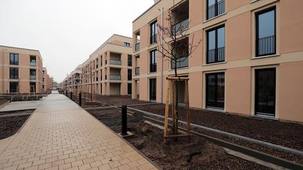 Potsdam, 27.01.2023 / Lokales / ProPotsdam, Stadtquartier Heinrich-Mann-Allee, Wohnen und leben in Potsdam, Foto: Ottmar Winter PNN ACHTUNG: Foto ist ausschließlich für redaktionelle Berichterstattung der PNN und des TGSP! Eine kommerzielle Nutzung, z.B. Werbung, ist ausgeschlossen. Die Weitergabe an nicht autorisierte Dritte, insbesondere eine weitergehende Vermarktung über Bilddatenbanken, ist unzulässig.