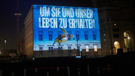 Um sie und unser Leben zu erhalten· ist in den frühen Morgenstunden zusammen mit einer Riesenschildkröte auf dem Humboldt Forum zu lesen und zu sehen. Greenpeace projiziert Bilder von Meereslebewesen, um auf die Dringlichkeit für einen Abschluss eines starken Schutzabkommens in der UN-Konferenz hinzuweisen.