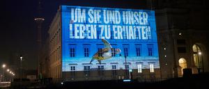 Um sie und unser Leben zu erhalten· ist in den frühen Morgenstunden zusammen mit einer Riesenschildkröte auf dem Humboldt Forum zu lesen und zu sehen. Greenpeace projiziert Bilder von Meereslebewesen, um auf die Dringlichkeit für einen Abschluss eines starken Schutzabkommens in der UN-Konferenz hinzuweisen.