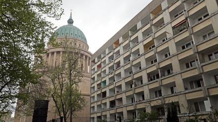 Die betroffenen Bäume stehen auf der Rückseite des Wohnblocks. 