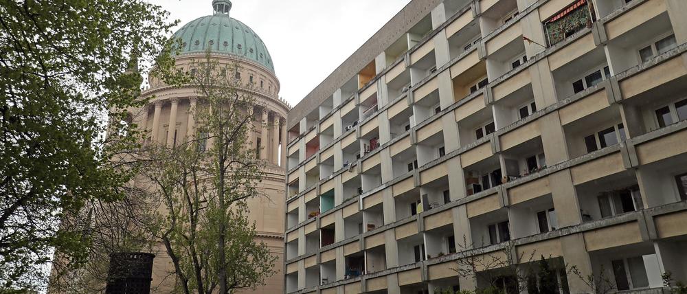 Die betroffenen Bäume stehen auf der Rückseite des Wohnblocks. 