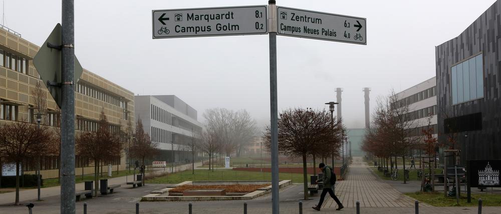 In der scheinbaren Ruhe am Campus in Golm sorgt eine Gruppe Jugendlicher für Randale und Zerstörung.