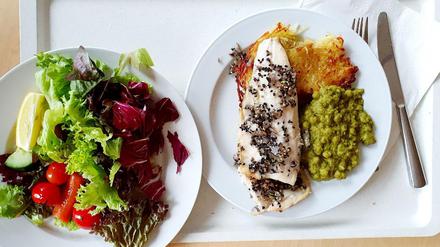 Appetitlich schon fürs Auge: Salat vom Büffet und Forelle